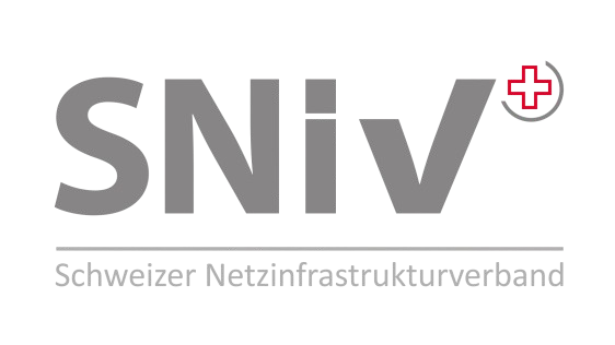 SNIV Logo
